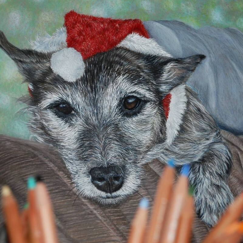 Mixed breed terrier cross dog in coloured pencils